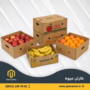 کارتن میوه و صیفی جات